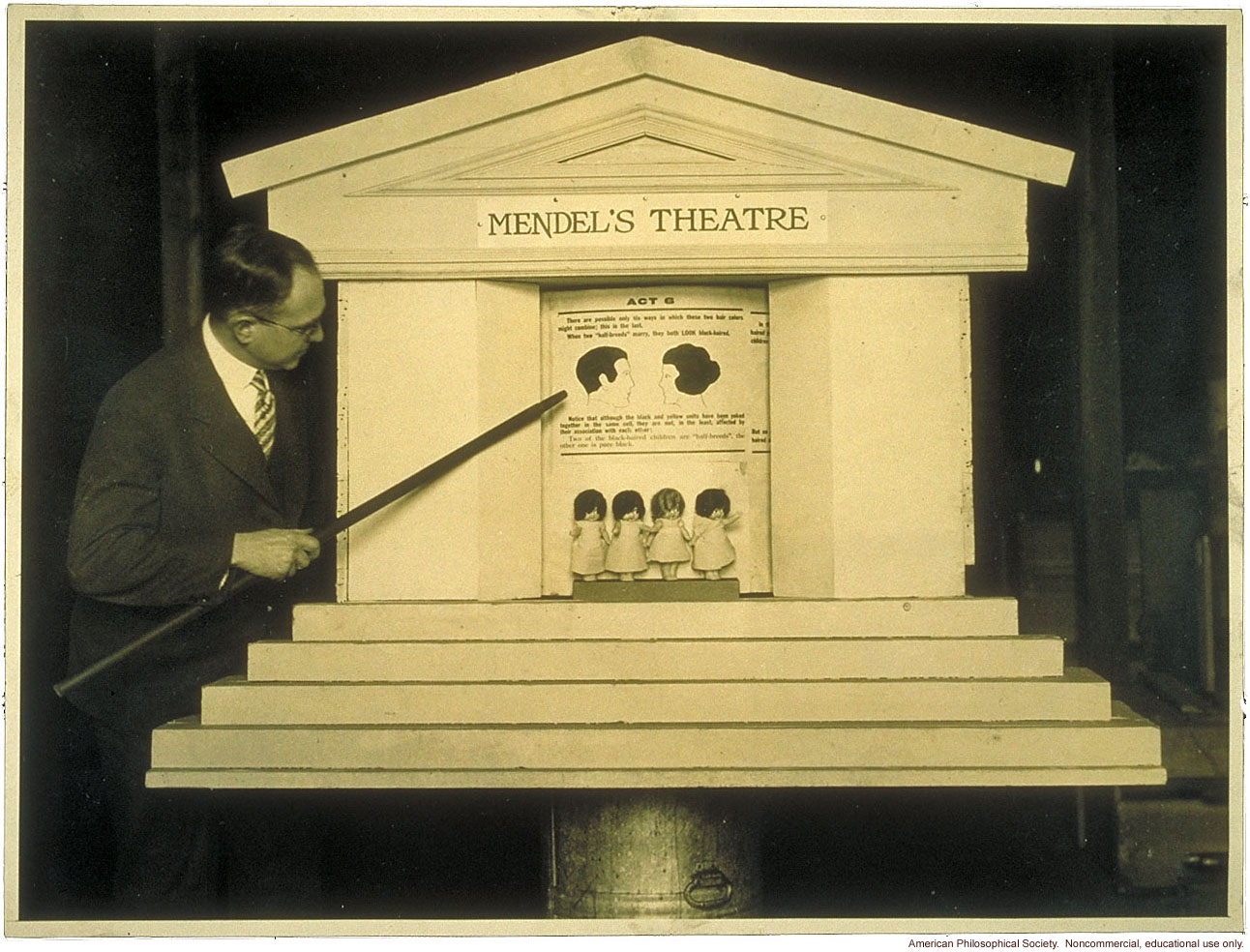 &quote;Mendel's Theatre&quote; showing inheritance of hair color, demonstrated by Leon Fradley Whitney