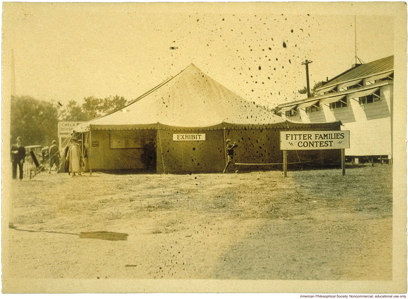 Fitter Families exhibit/exam tent, Eastern States Exposition, Springfield, Massachusetts