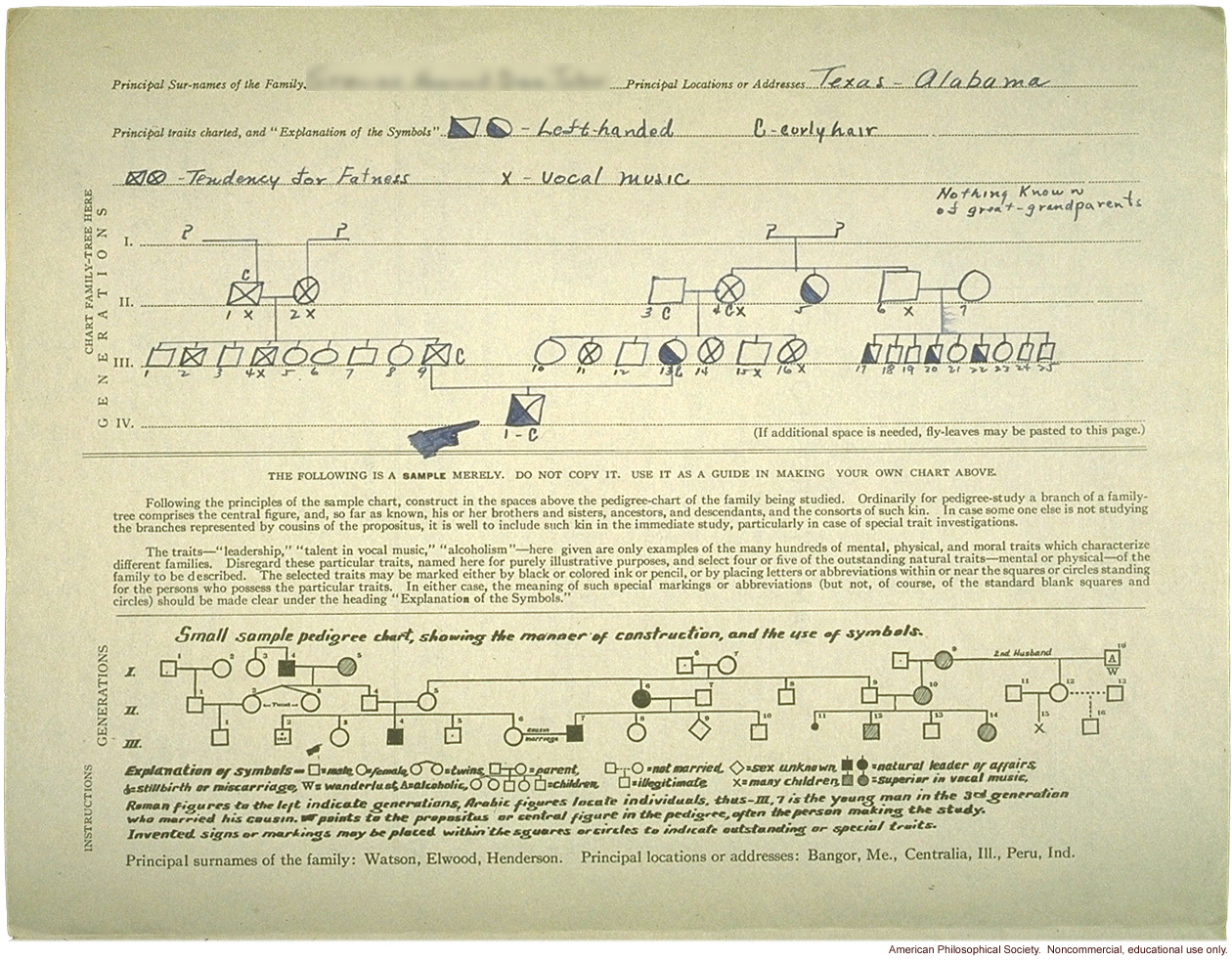 Student report and Eugenics Record Office  Family Tree Folder on &quote;sinisterity&quote; (left-handedness)