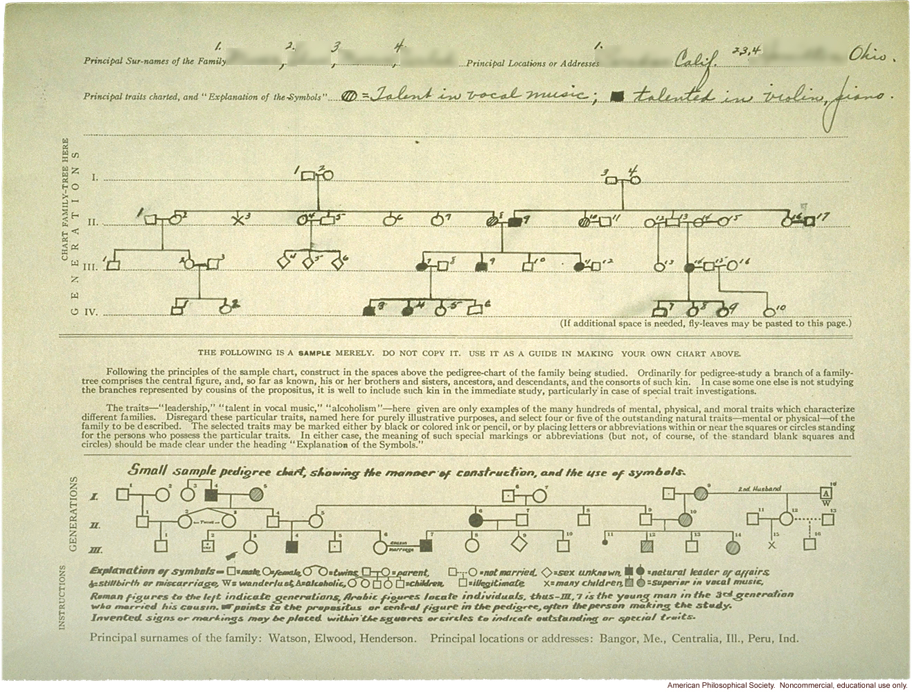 &quote;Family-tree folder: Players of musical instruments&quote;