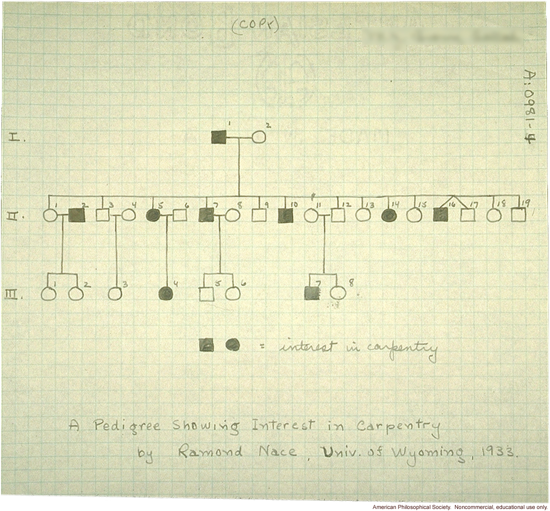Student study of inheritance of an interest in carpentry
