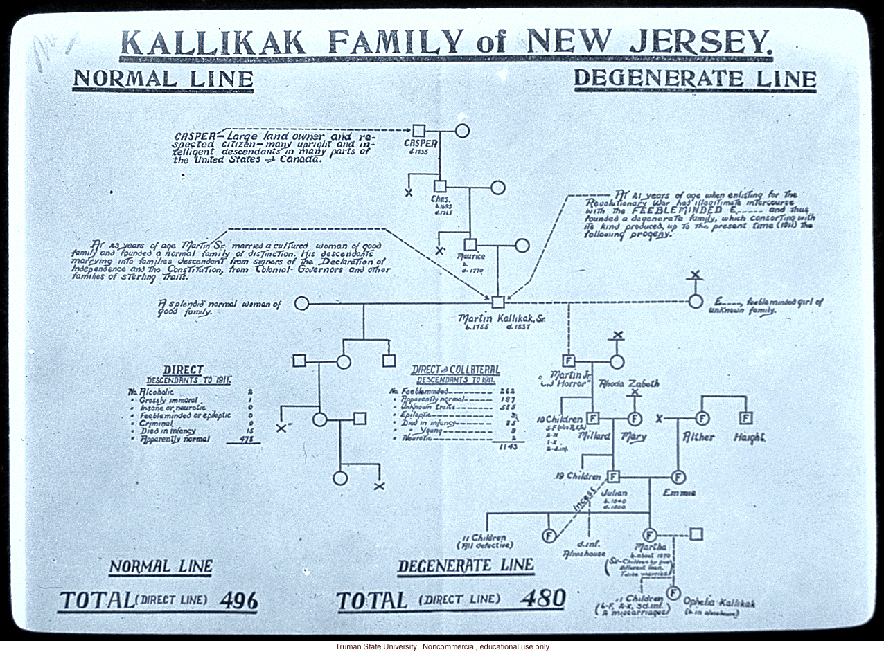 &quote;Kallikak family of New Jersey -- normal line vs. degenerate line&quote;
