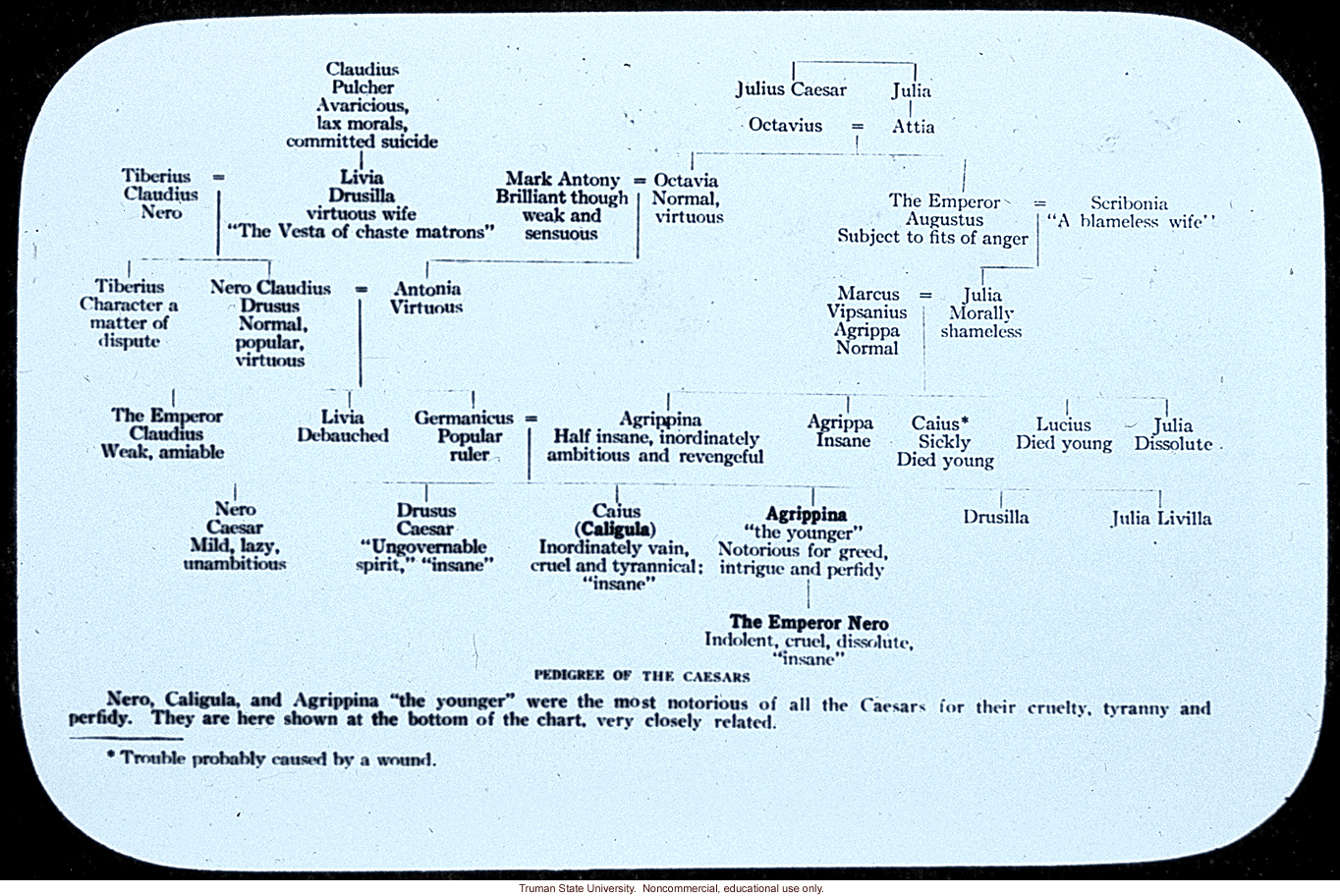 &quote;Pedigree of the Caesars,&quote; about the close relatedness of the Caesars