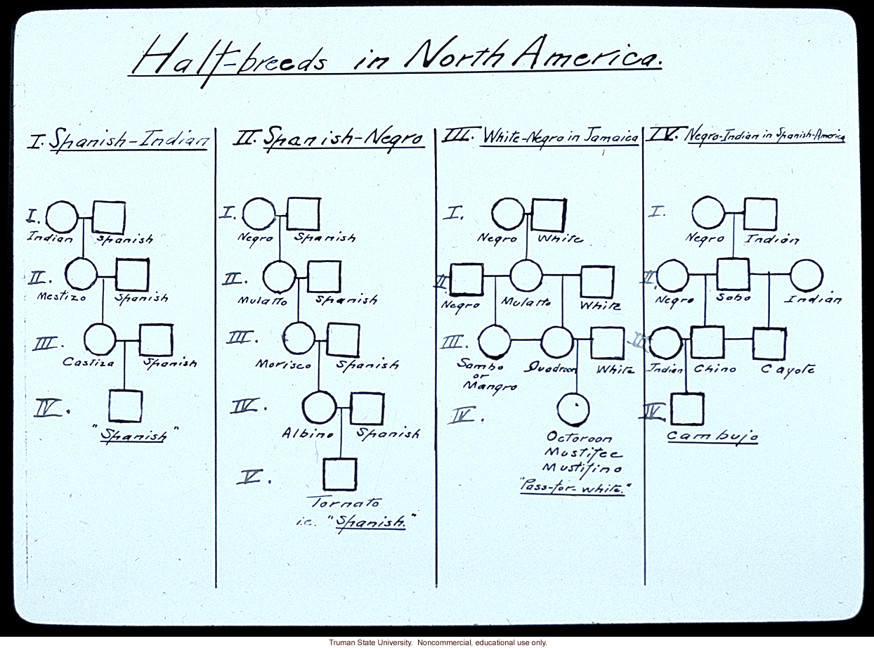 &quote;Half-breeds in North America&quote;