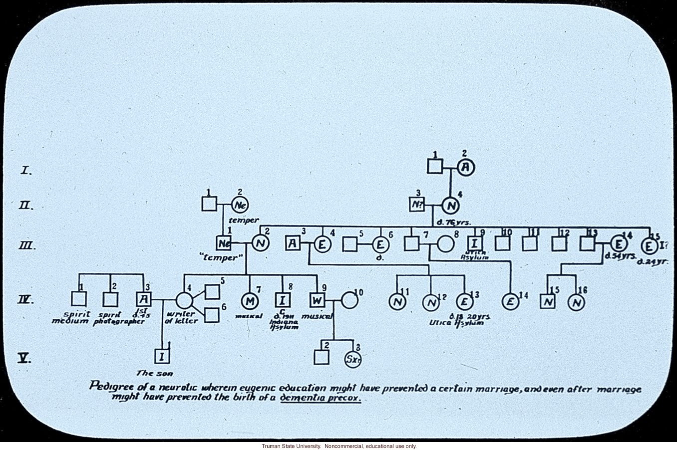 &quote;Pedigree of a neurotic ...&quote;