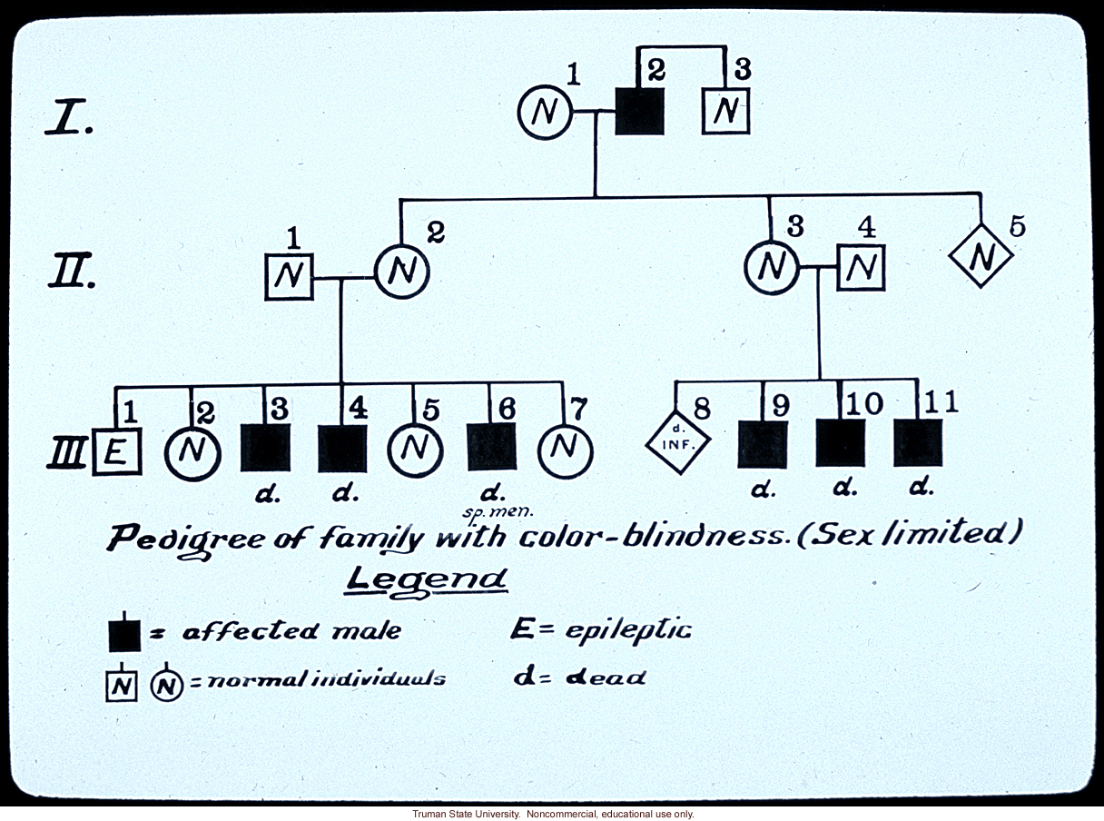&quote;Pedigree of family with color blindness. (Sex limited).&quote;
