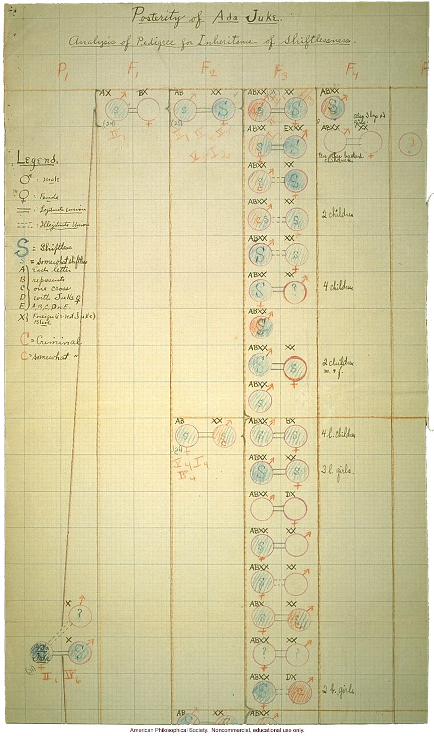 &quote;Posterity of Ada Juke: Analysis of pedigree of inheritance of shiftlessness,&quote; (partial)