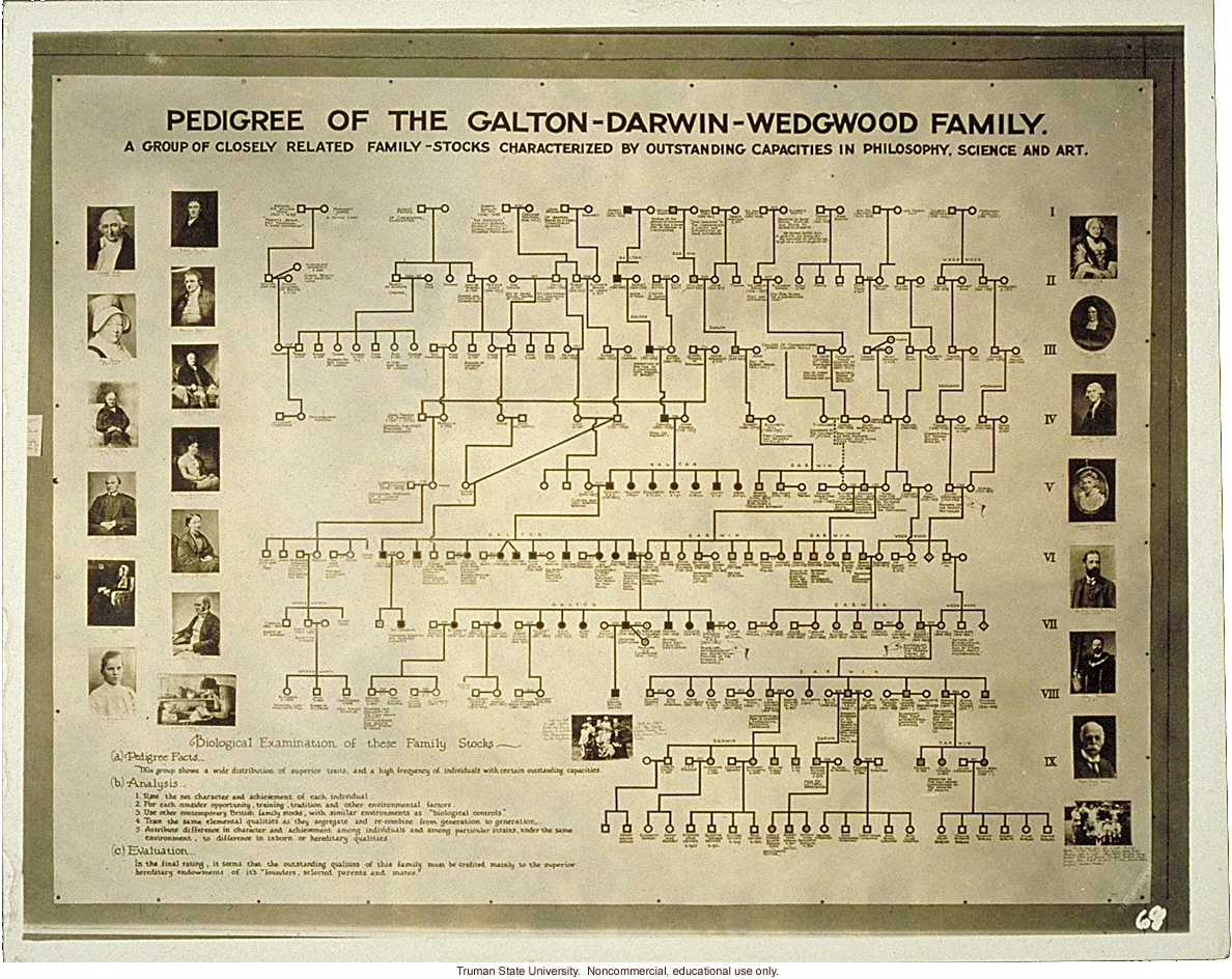 &quote;Pedigree of Galton-Darwin-Wedgwood family,&quote; 3rd International Eugenics Conference
