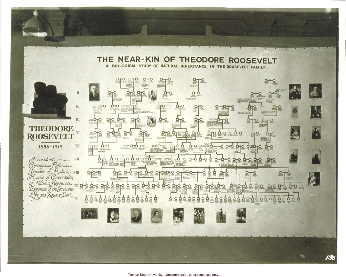 Pedigree exhibit: &quote;The near-kin of Theodore Roosevelt,&quote; 3rd International Eugenics Conference
