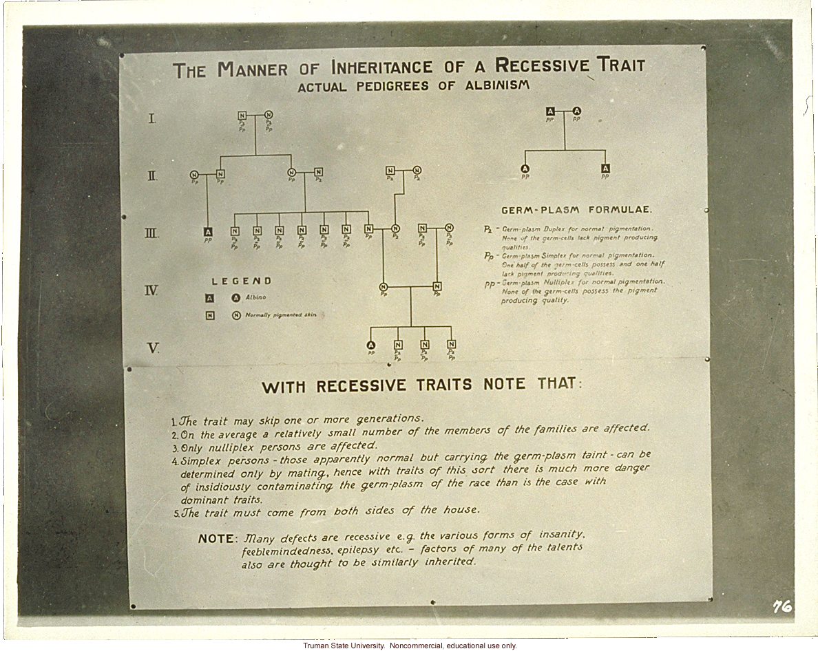 Pedigree exhibit: &quote;The manner of inheritance of recessive trait.  Actual pedigrees of albinism,&quote; 3rd International Eugenics Conference