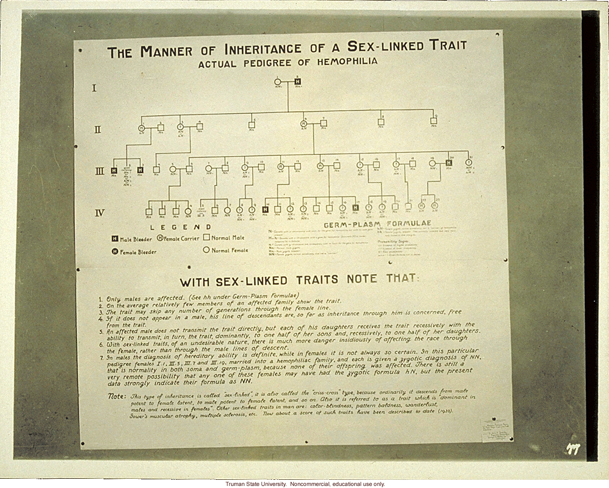 &quote;The manner of inheritance of a sex-linked trait.  Actual pedigree of hemophilia,&quote; 3rd International Eugenics Conference