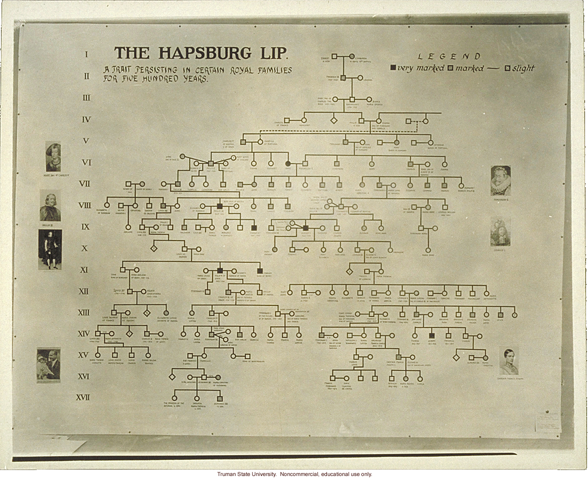 Pedigree exhibit: &quote;The Hapsburg lip,&quote; 3rd International Eugenics Conference