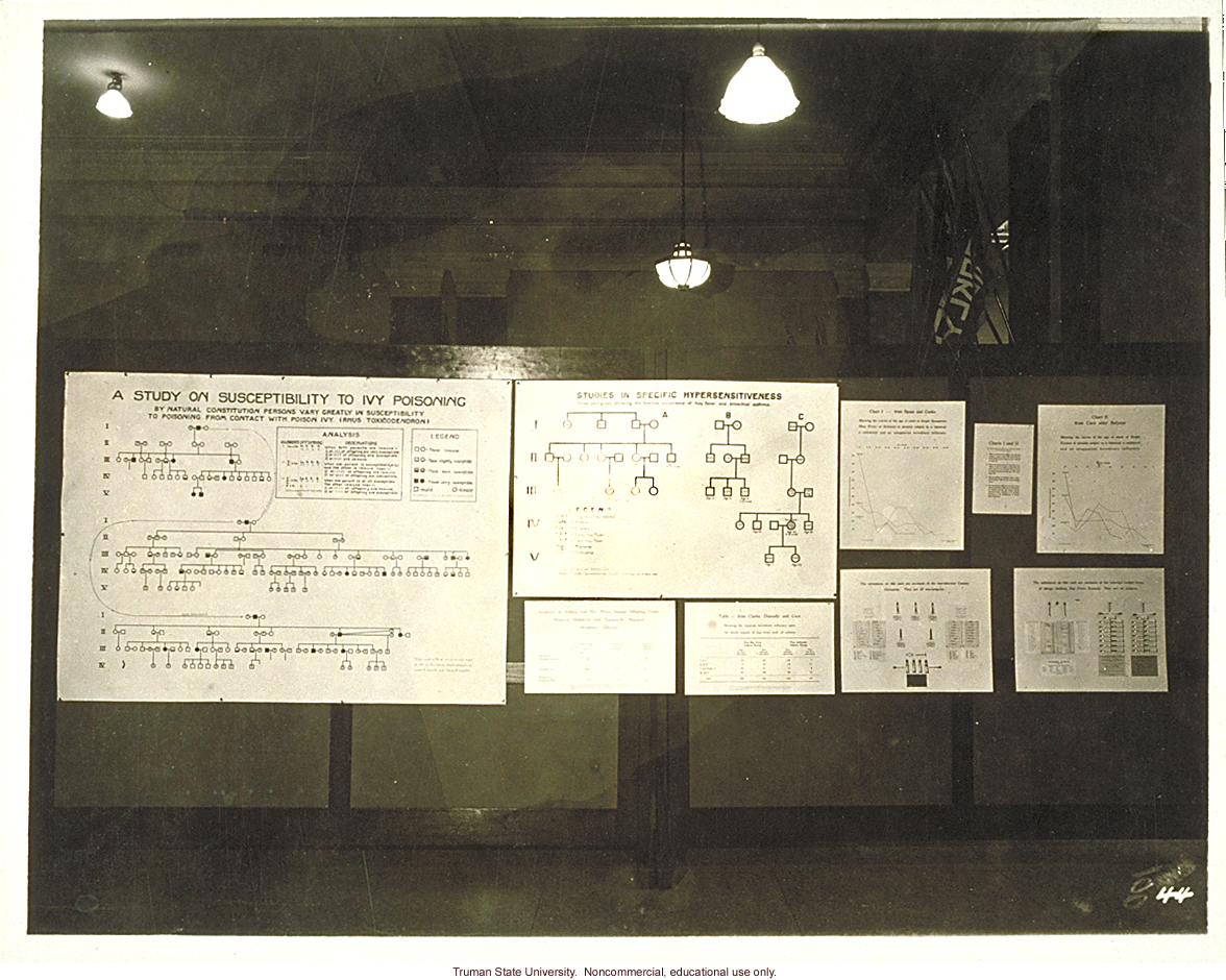Pedigree exhibit: &quote;A study on susceptibility to ivy poisoning,&quote; 3rd International Eugenics Conference