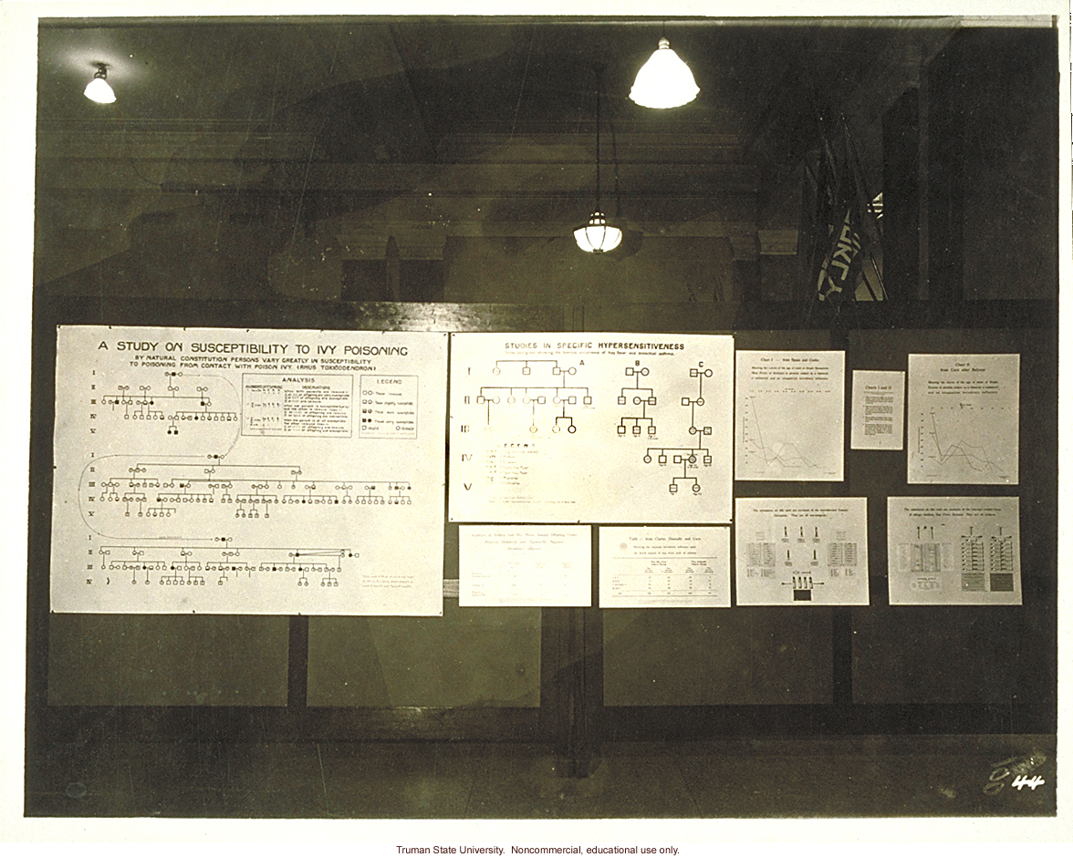 Pedigree exhibit: &quote;A study on susceptibility to ivy poisoning,&quote; 3rd International Eugenics Conference