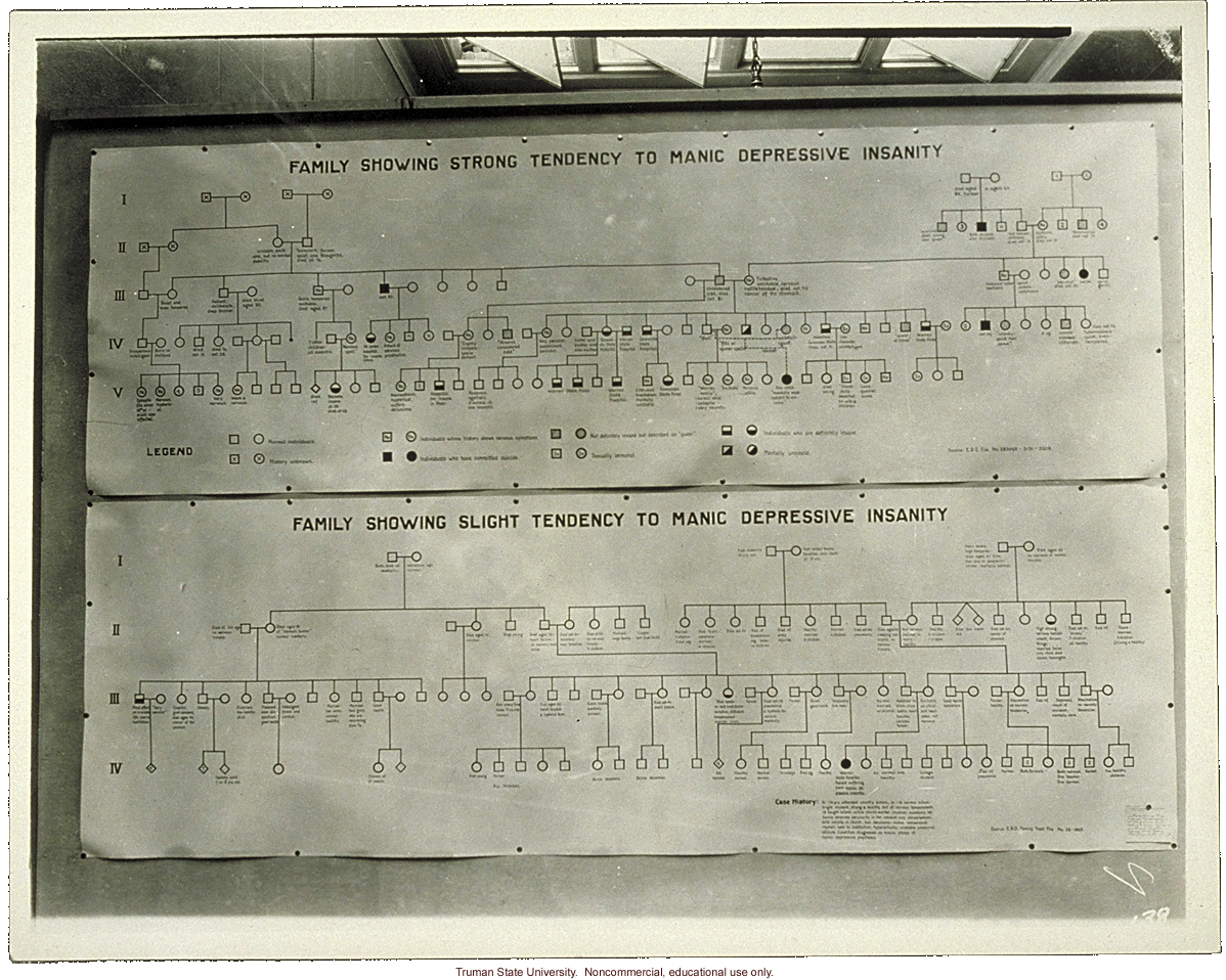 Pedigree exhibit: &quote;Family showing strong tendency to manic depressive insanity,&quote; 3rd International Eugenics Conference