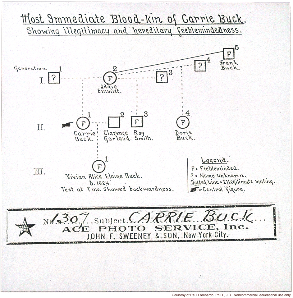 &quote;Most immediate blood-kin of Carrie Buck.  showing illegitimacy and hereditary feeblemindedness.&quote;