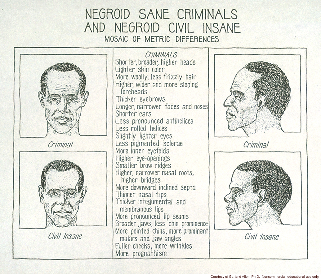 &quote;Negroid sane criminals and Negroid civil insane, mosaic of metric differences&quote;