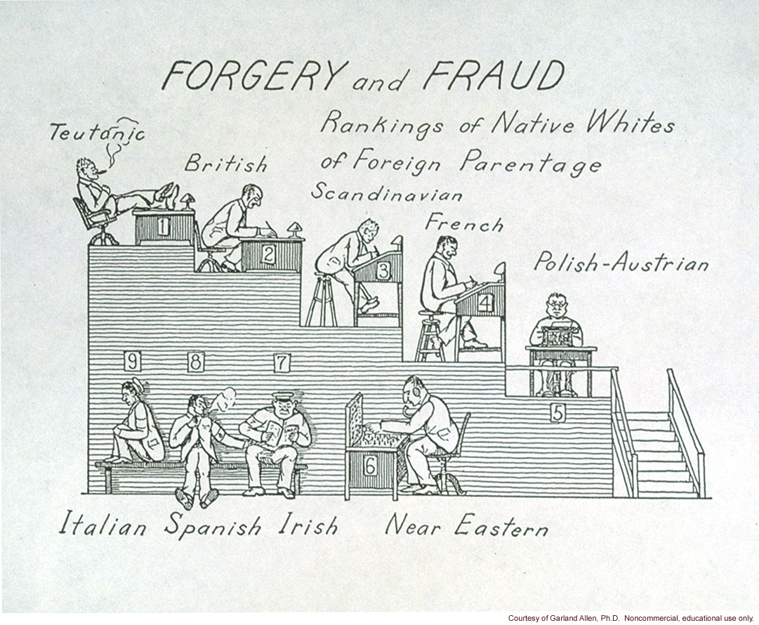 &quote;Forgery and fraud, rankings of native whites of foreign parentage&quote;