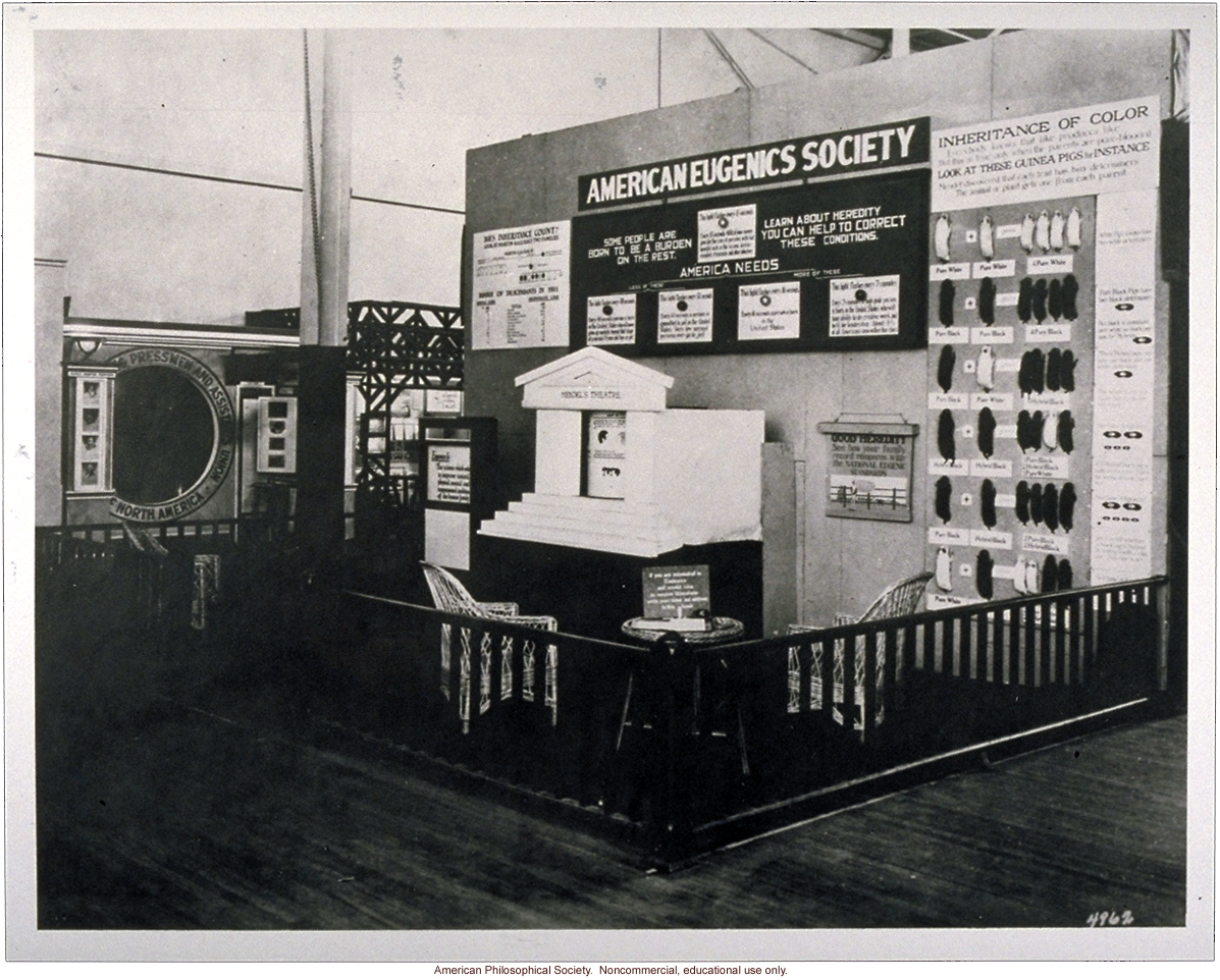 American Eugenics Society exhibit at Sesquicentennial Exposition, Philadelphia (&quote;Mendel's theater,&quote; center; guinea pig coat color, right)