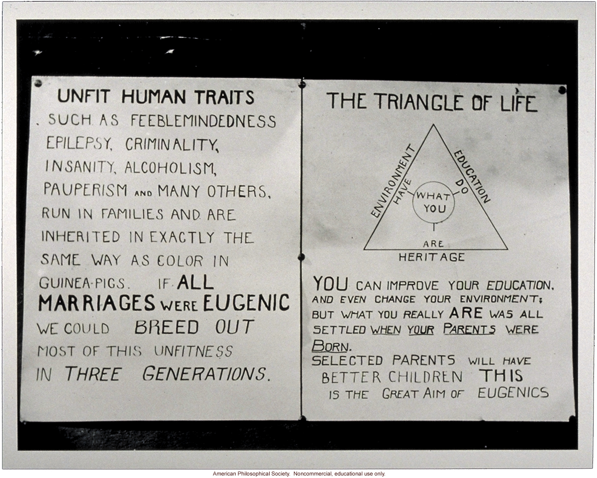 &quote;Unfit Human Traits&quote; and &quote;Triangle of Life.&quote;