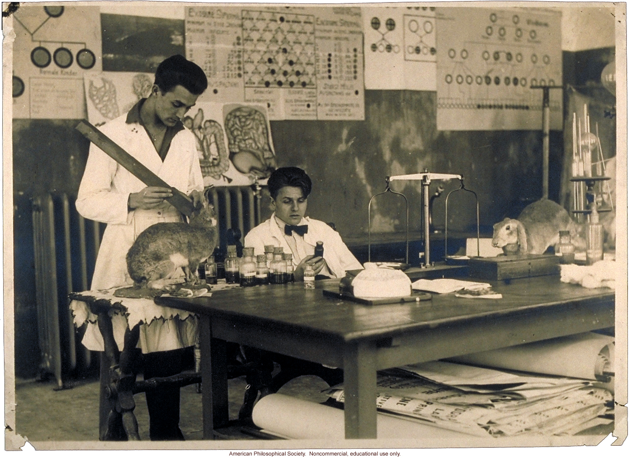 Fridtjof and Heljar Mjen, sons Jon Alfred Mjen, director of the Vindern Biological Laboratory (Oslo, Norway)