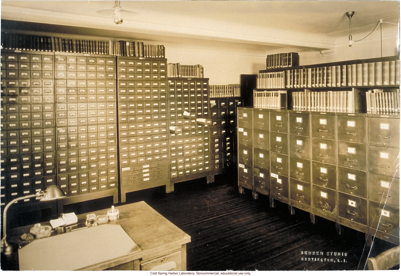 Eugenics Record Office, archives room with card index on far wall and field worker files on right