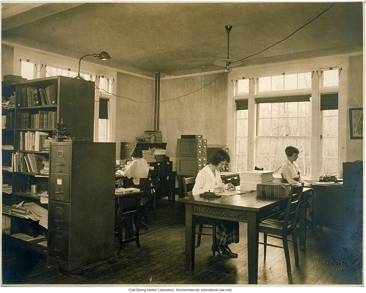 Eugenics Record Office, interior with workers