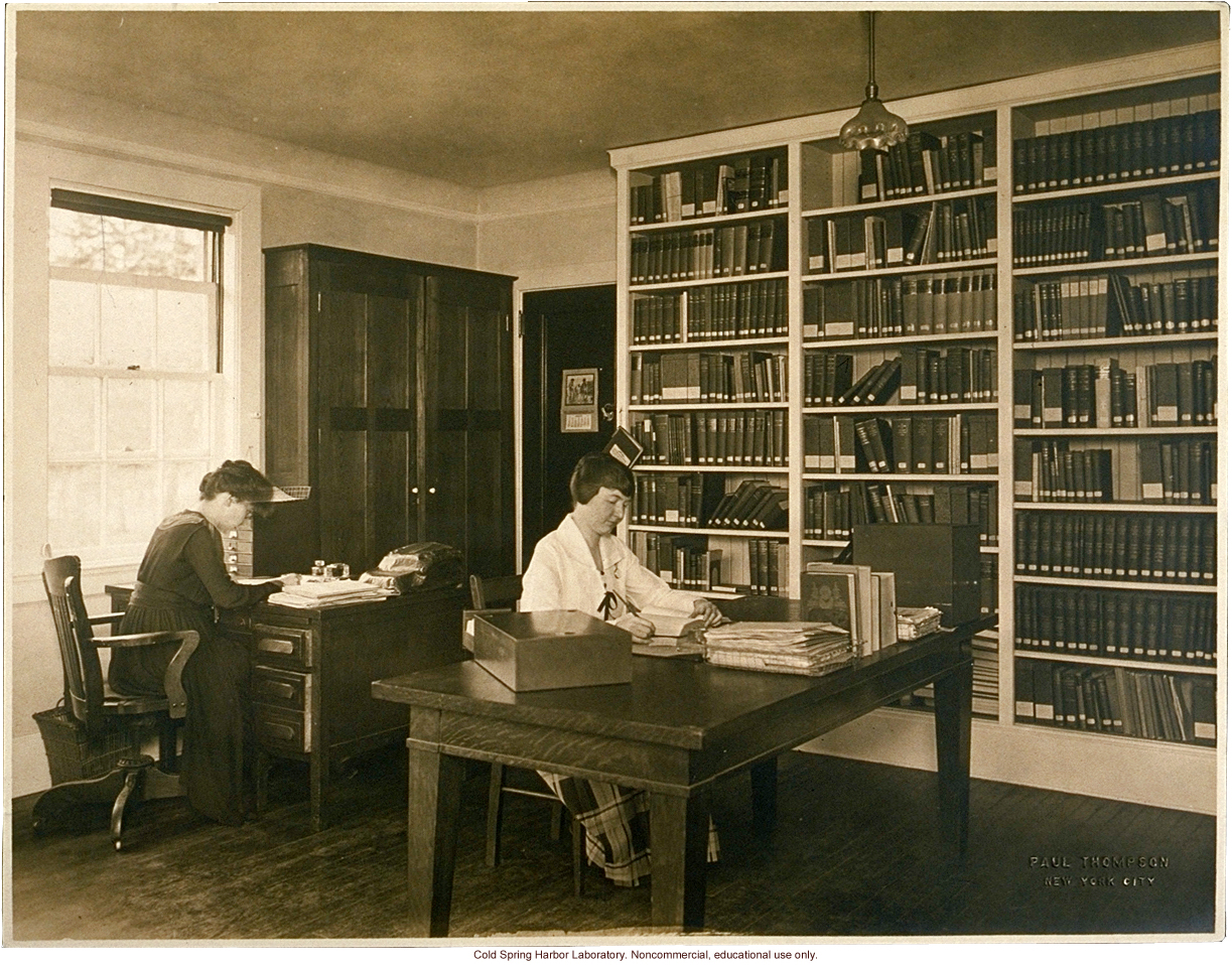 Eugenics Record Office, interior with workers