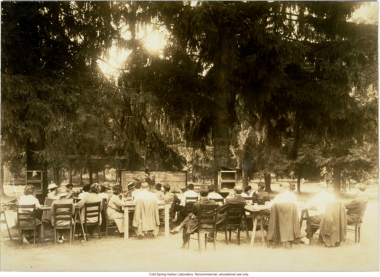 Eugenics Record Office, Field Worker Training Class of 1913 (Davenport lecturing at blackboard)