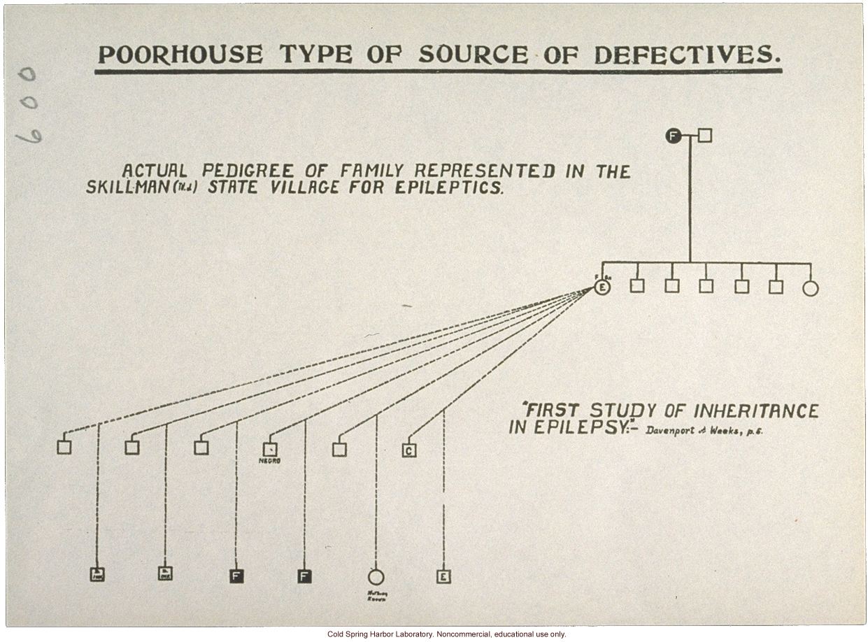 &quote;Poorhouse Type of Source of Defectives,&quote; pedigree of epilepsy and feeblemindedness (C. Davenport and D. Weeks)