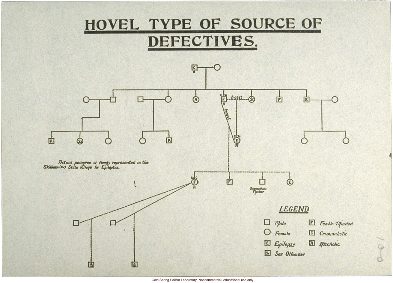 &quote;Hovel Type of Source of Defectives,&quote; pedigree of epilepsy and feeblemindedness