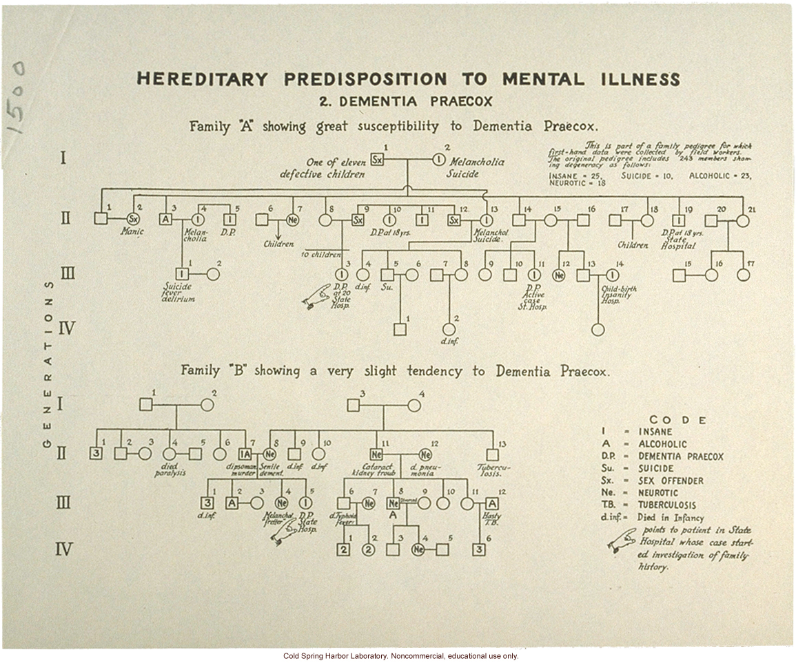 &quote;Hededitary Predisposition to Mental Illness: Dementia Praecox&quote; (schizophrenia)
