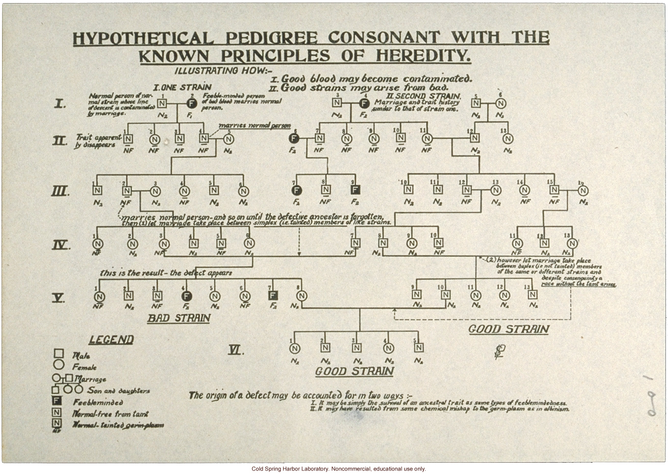 Hypothetical pedigree of feeblemindedness, illustrating &quote;good&quote; and &quote;bad&quote; strains