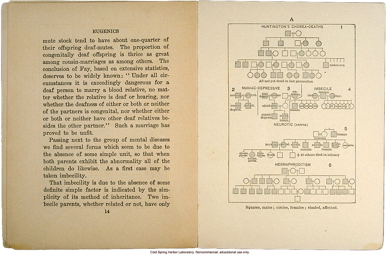 <i>Eugenics: The Science of Human Improvement by Better Breeding</i>, by Charles B. Davenport