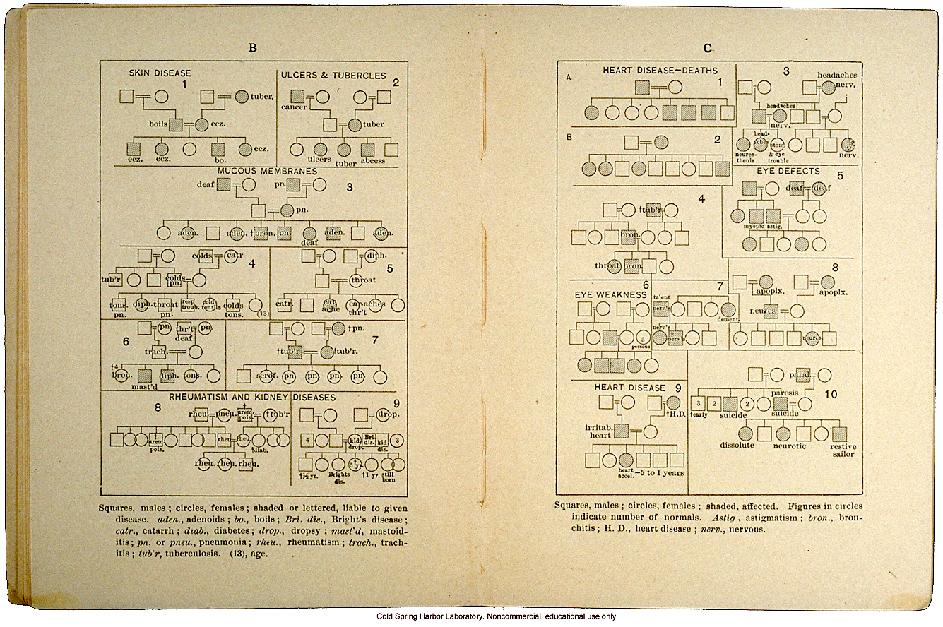 <i>Eugenics: The Science of Human Improvement by Better Breeding</i>, by Charles B. Davenport