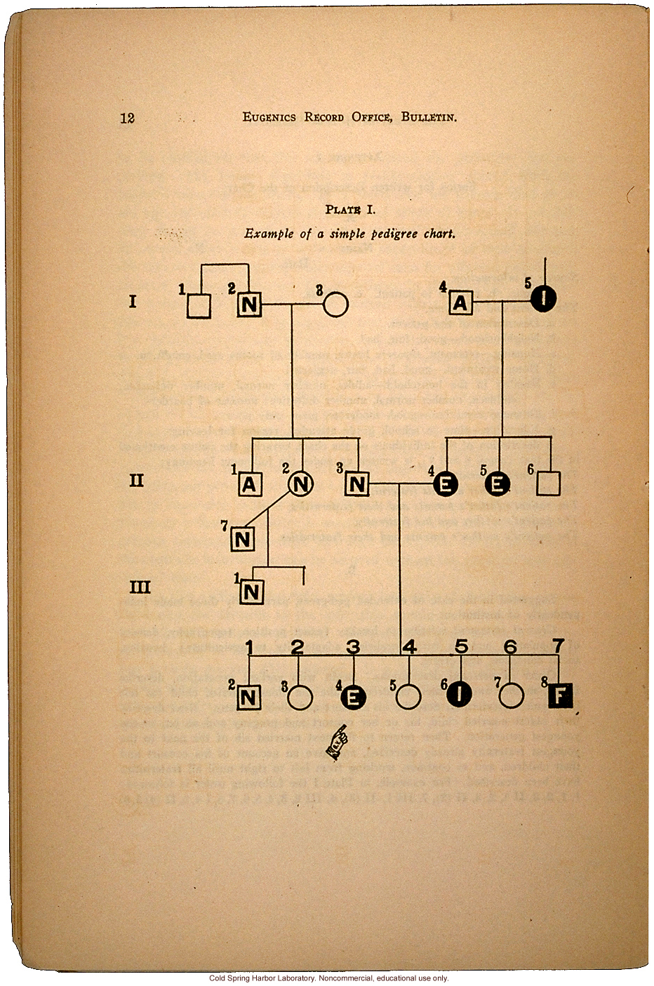 &quote;The Study of Human Heredity,&quote; by Davenport, Laughlin, Weeks, Johnstone, and Goddard, Eugenics Record Office Bulletin No. 2