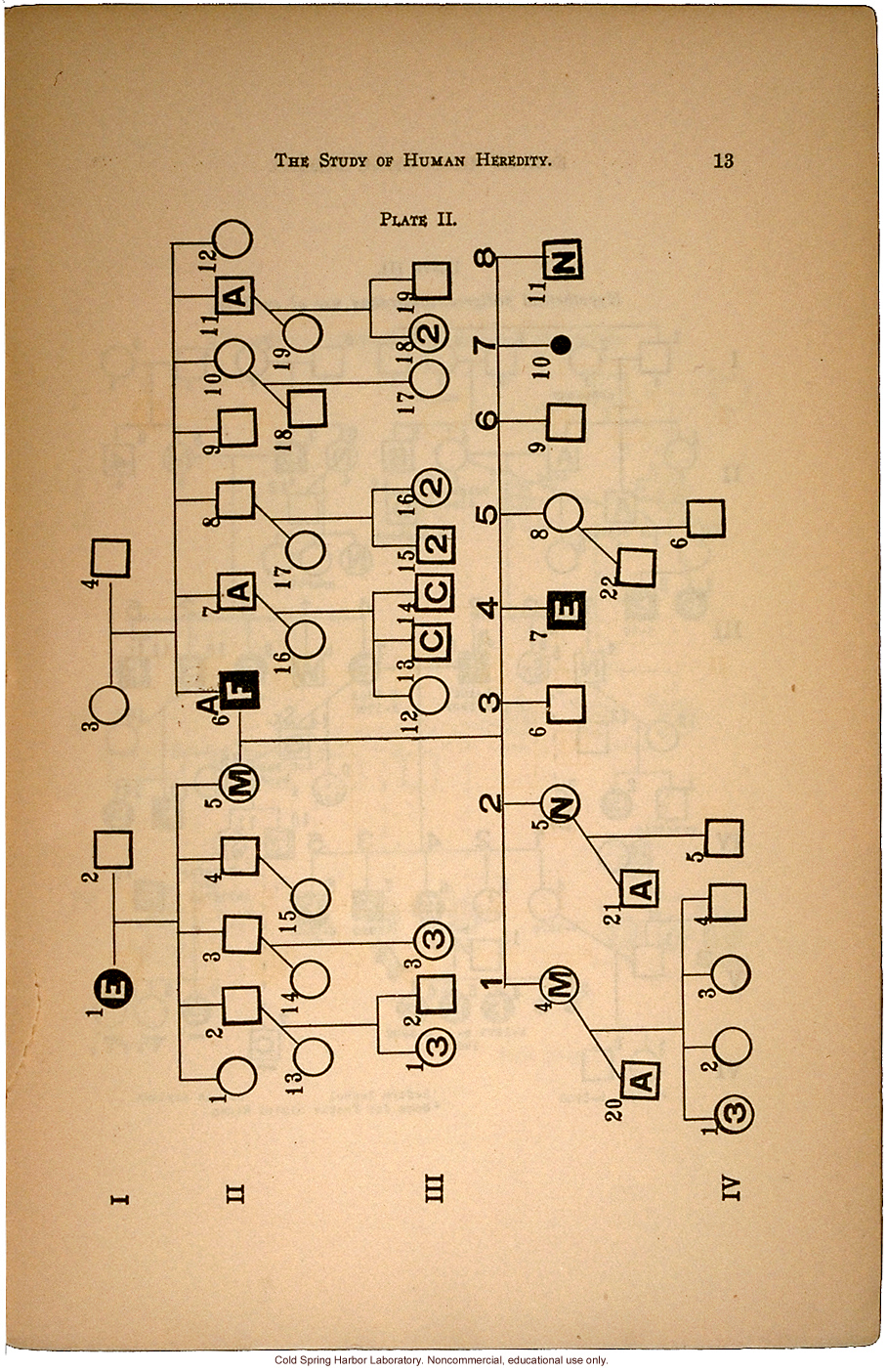 &quote;The Study of Human Heredity,&quote; by Davenport, Laughlin, Weeks, Johnstone, and Goddard, Eugenics Record Office Bulletin No. 2