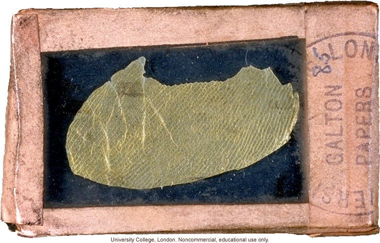 Francis Galton's wax finger impression