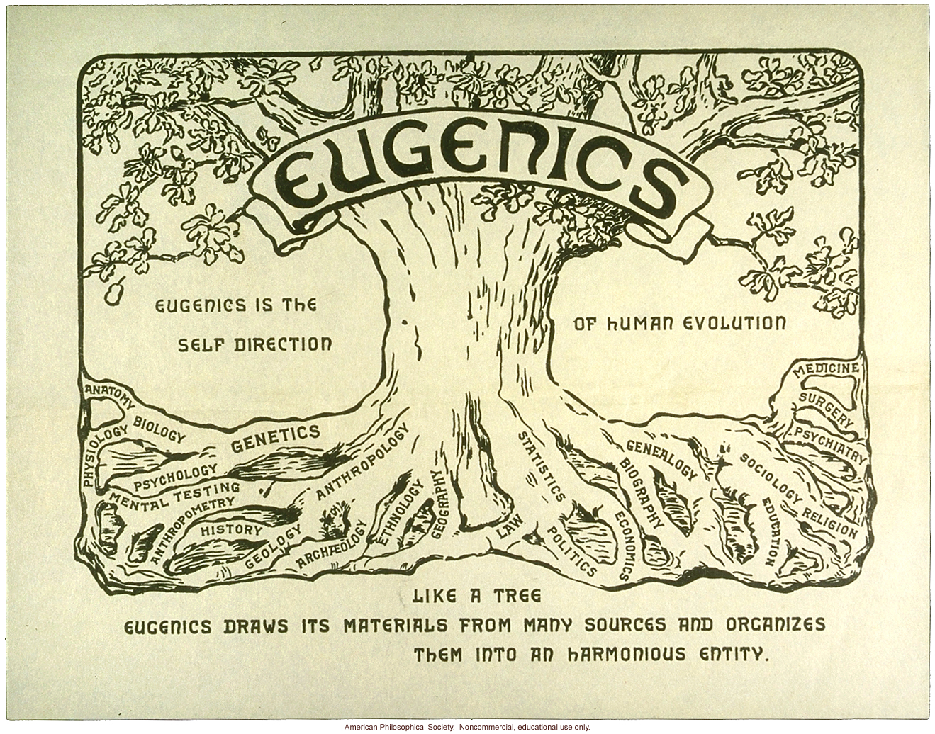 Eugenics tree logo