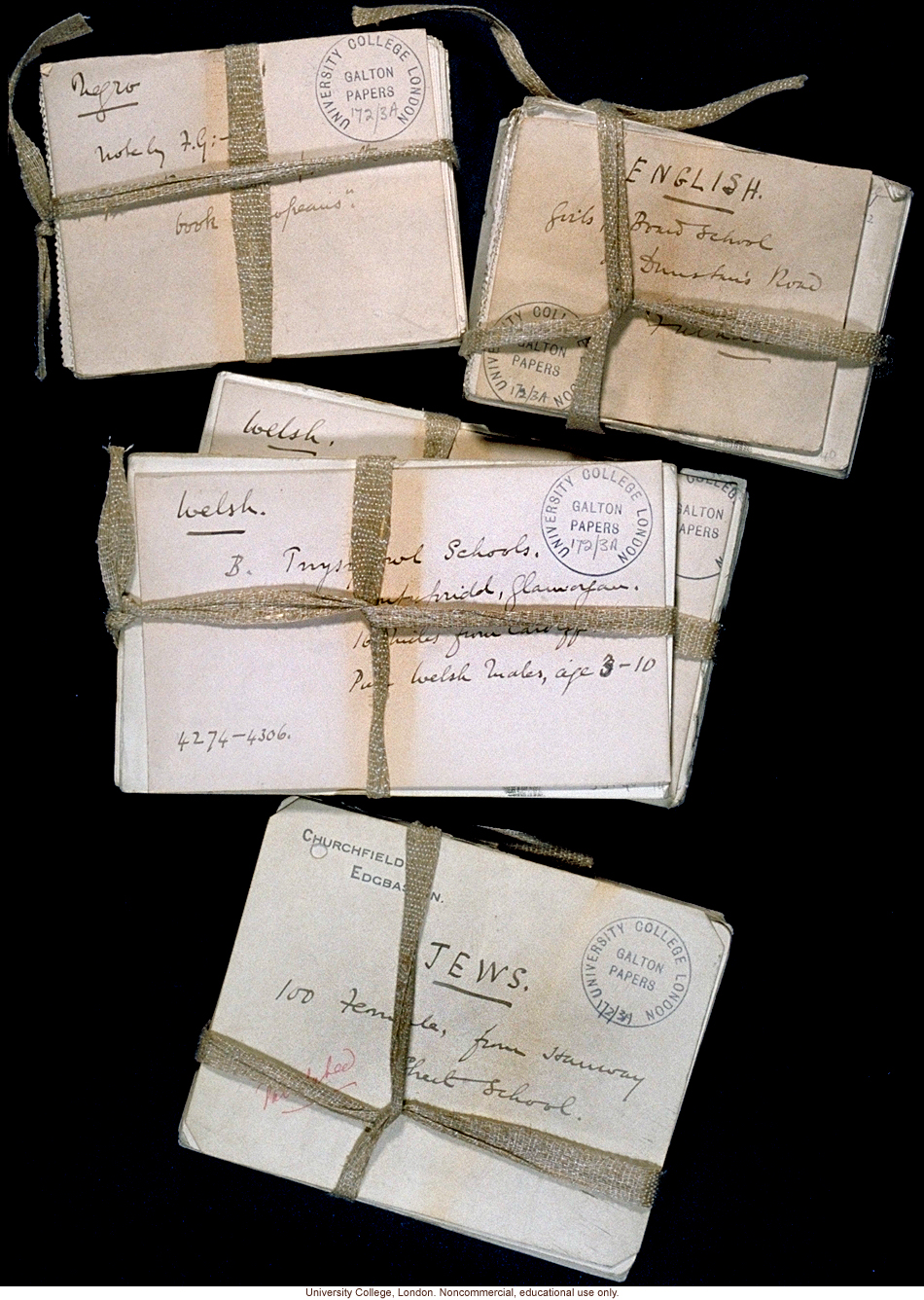 Overview of Francis Galton's collection of fingerprint cards, showing ethnic labels (Jews, Welsh, English, Negro)