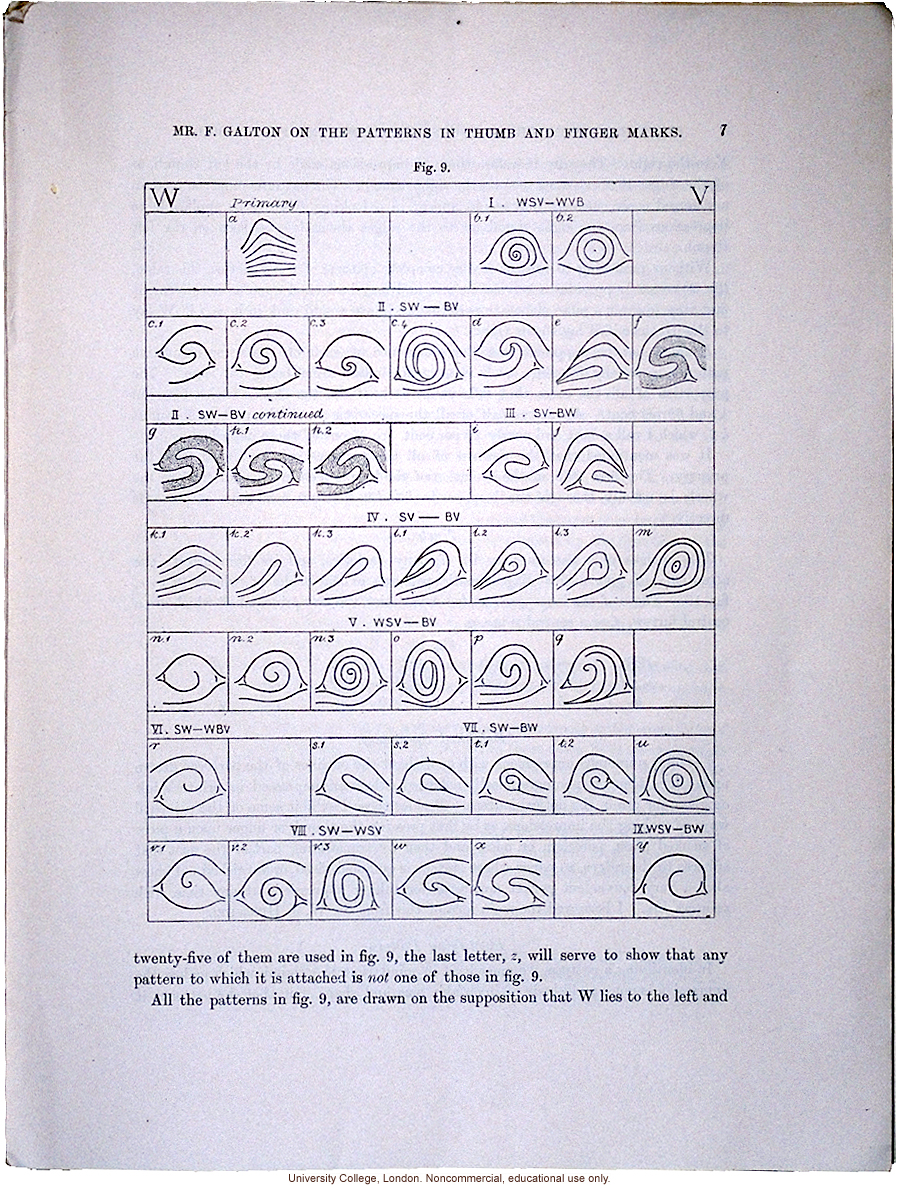 &quote;The Patterns in Thumb and Finger Marks,&quote; by Francis Galton, <i>Phil. Trans. Royal Society</i> (vol. 182), selected pages