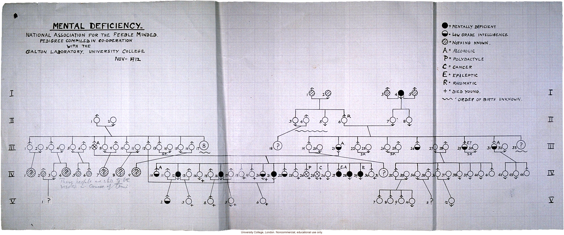 &quote;Mental Deficiency Pedigree,&quote; a multigenerational study of a rural family by the British National Association for the Feebleminded