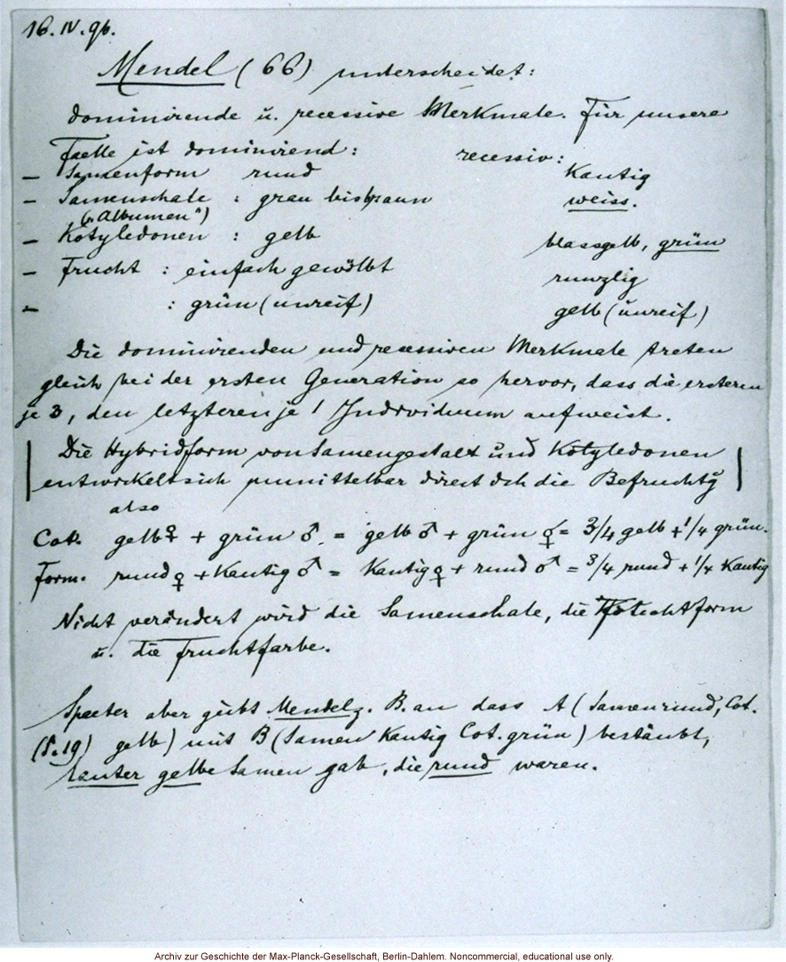 Carl Correns notes on Mendel's analysis of dominant and recessive charateristics in peas (4/16/1896)