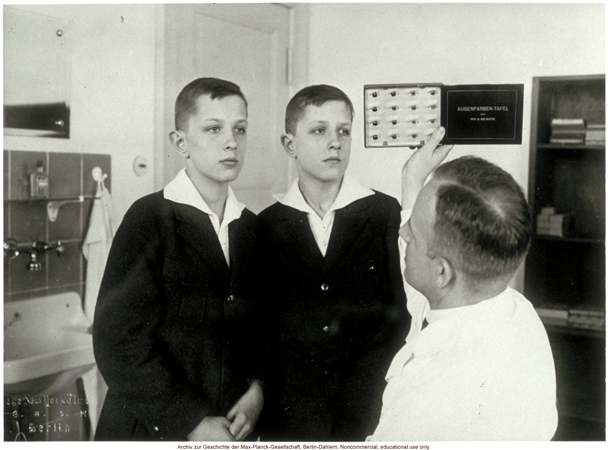 12-year-old male twins undergoing anthropometric study by Otmar Freiherr von Verschuer