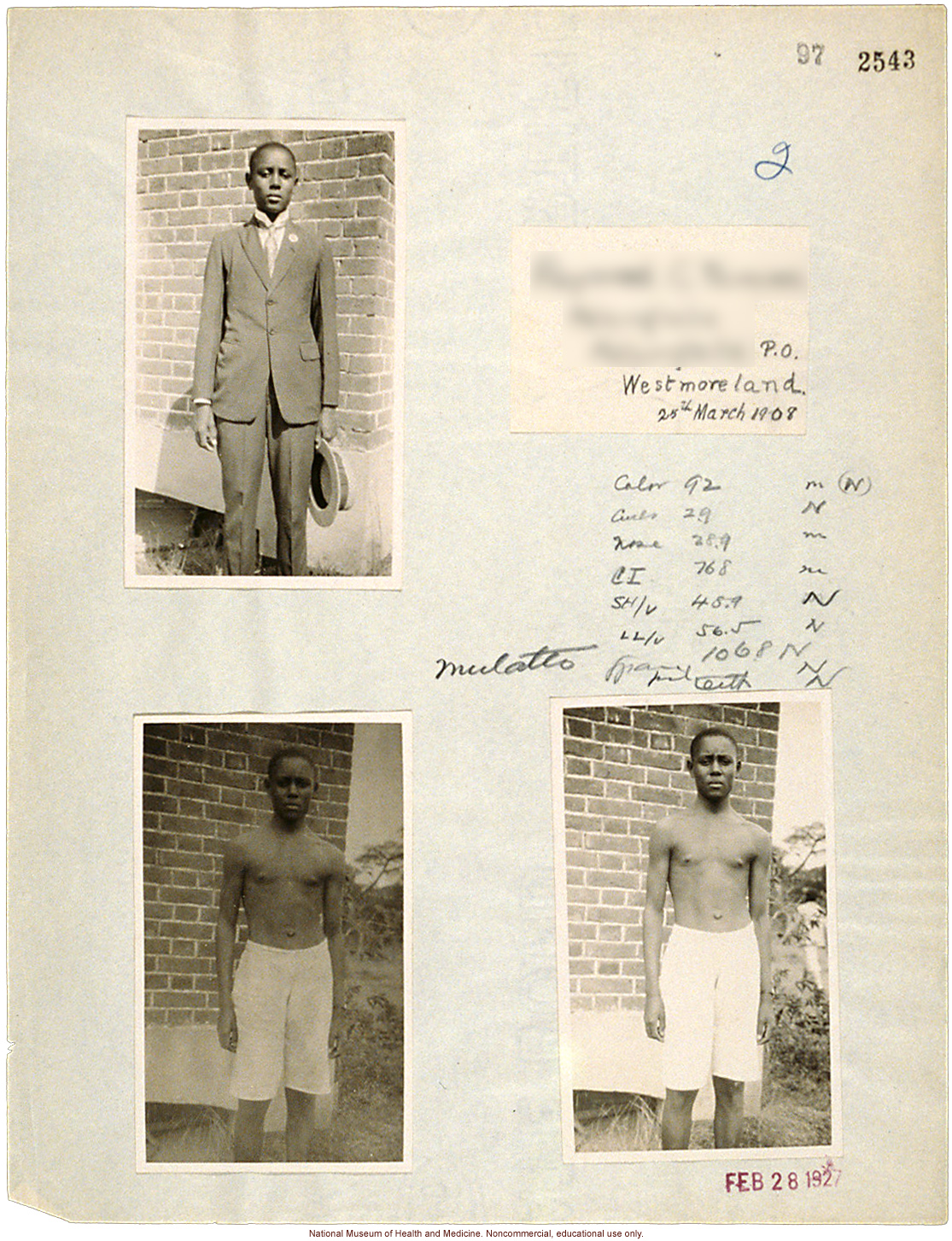 Mico College anthropometric case 1: photos, Schedule 3, notes, drawing test; by Morris Steggerda for <i>Race Crossing in Jamaica</i>