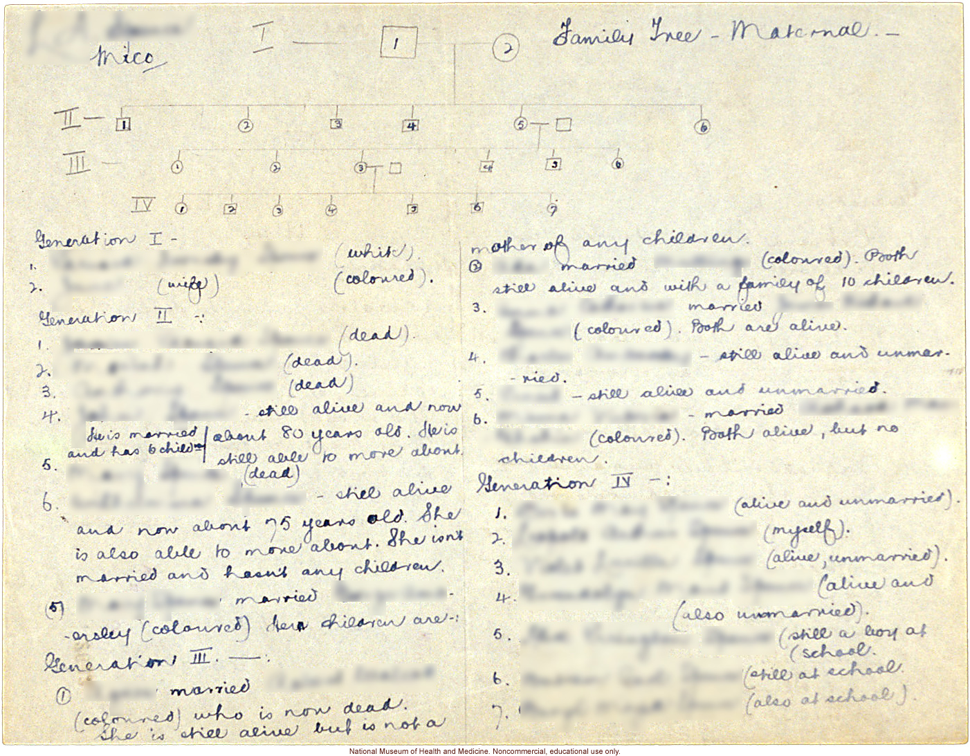 Mico College anthropometric case 2: photos, Schedule 3, measurements, pedigree, notes; by Morris Steggerda for <i>Race Crossing in Jamaica</i>