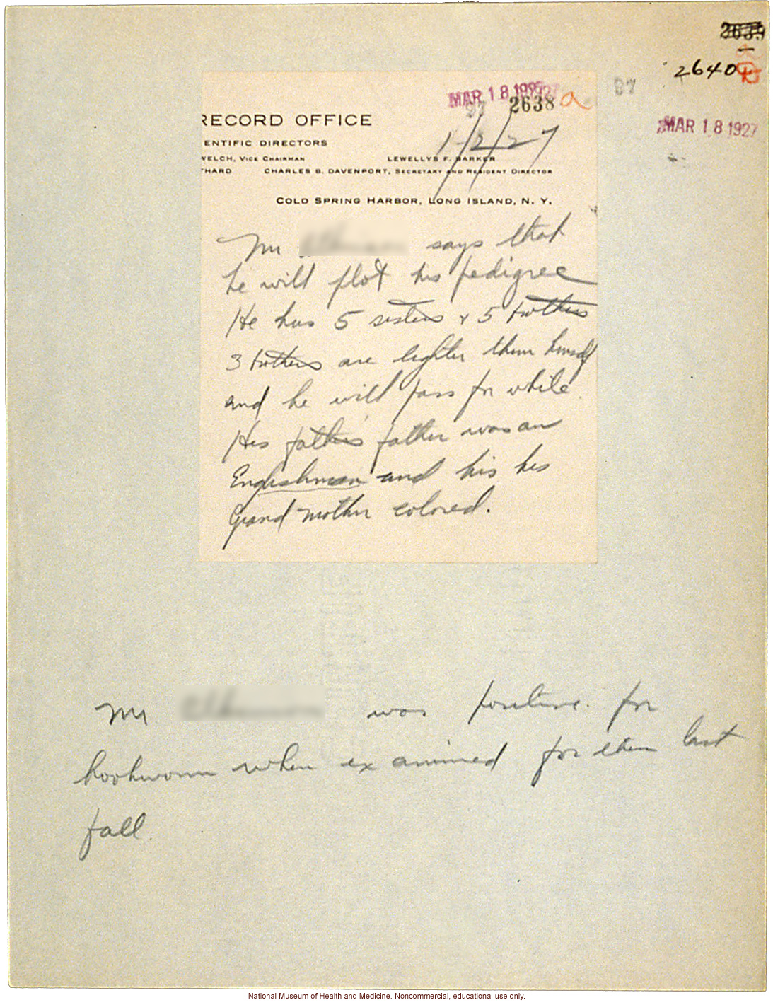 Mico College anthropometric case 3: photos, measurements, pedigree, notes; by Morris Steggerda for <i>Race Crossing in Jamaica</i>