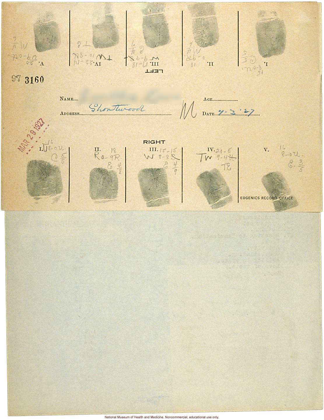 Shortwood College anthropometric case: photos, measurements, fingerprints, hair; by Morris Steggerda for <i>Race Crossing in Jamaica</i>