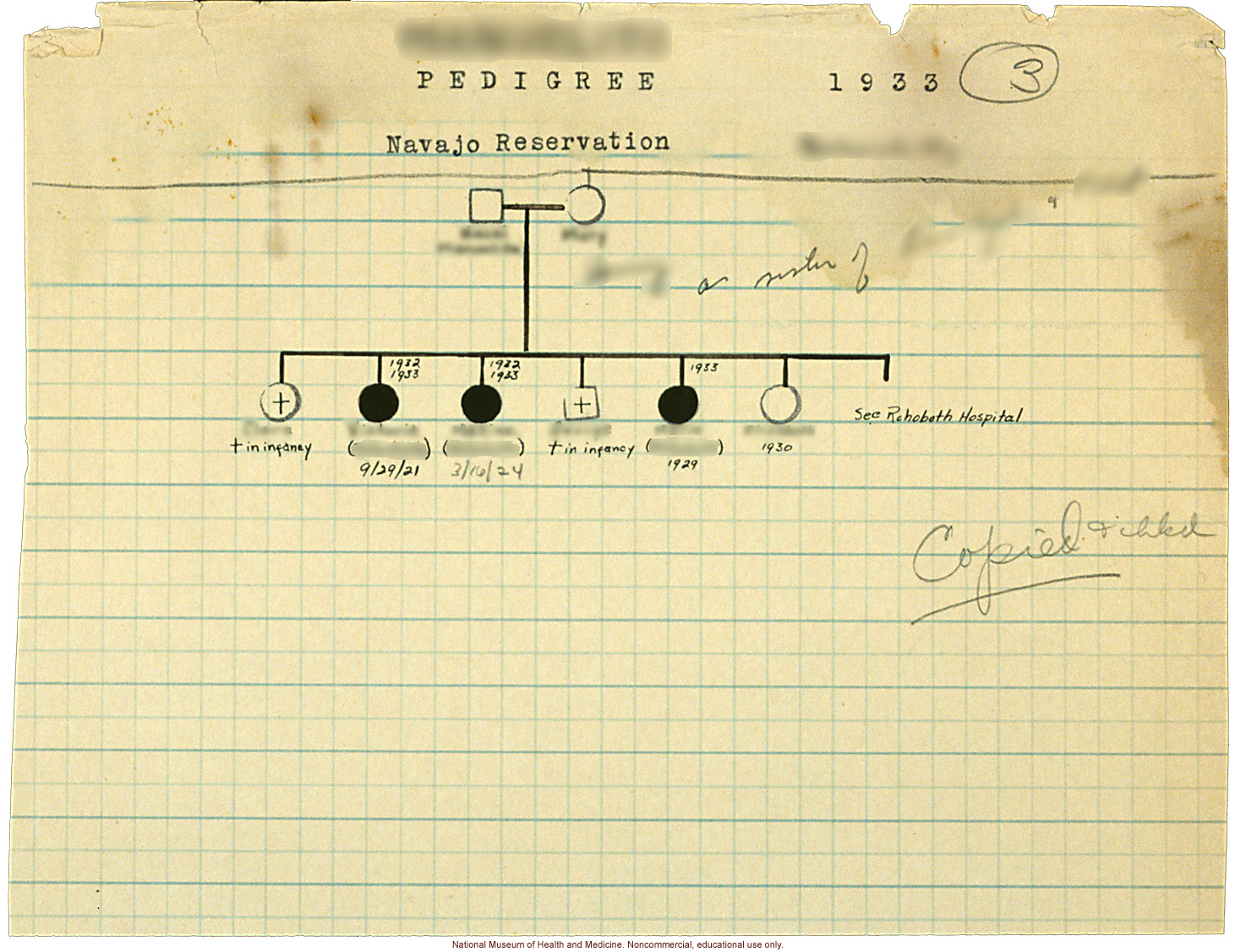 Family photographs and pedigree from the Navajo Reservation, by Morris Steggerda