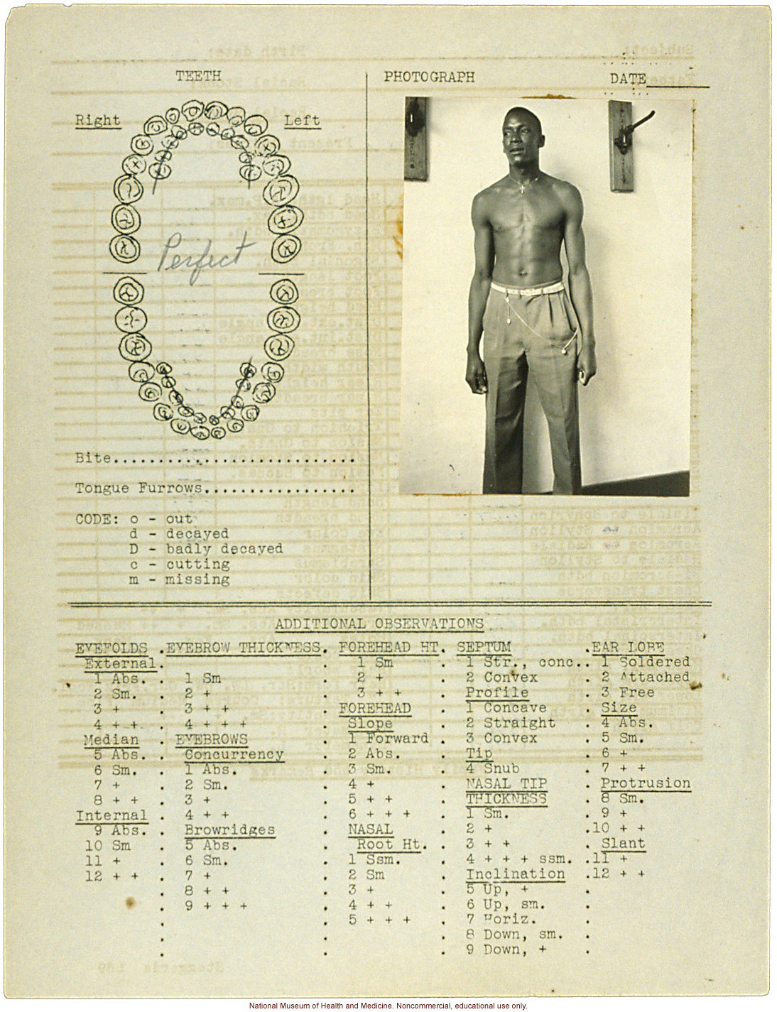 Male anthropometric case, from &quote;100 College Boys,&quote; Tuskegee Institute, Alabama (measurements, dental chart, and photograph)